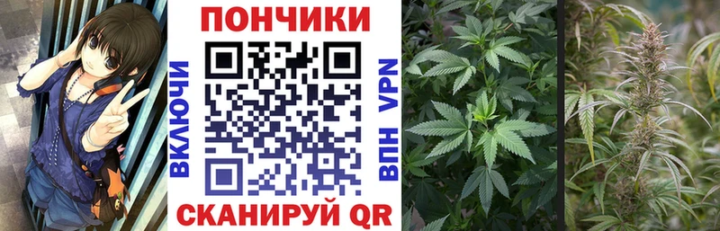 МАРИХУАНА ГИДРОПОН  hydra ССЫЛКА  Москва 